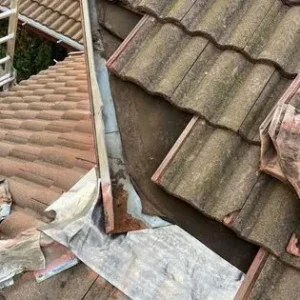 A view of the roof of a house with a broken tile.