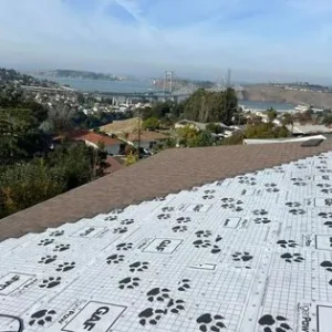 A roof with some black and white paw prints on it