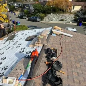 A man working on the roof of a house.